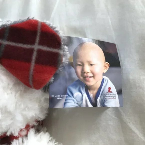 Plush Winter Teddy Bear NWT - Picture 6 of 10